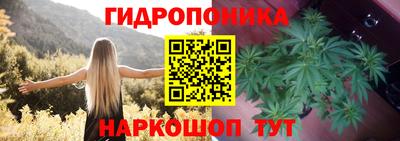 тгк Абакан